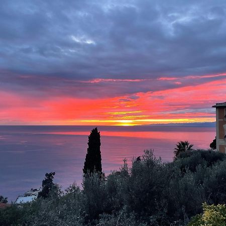 Villa Mortola Камольи Экстерьер фото