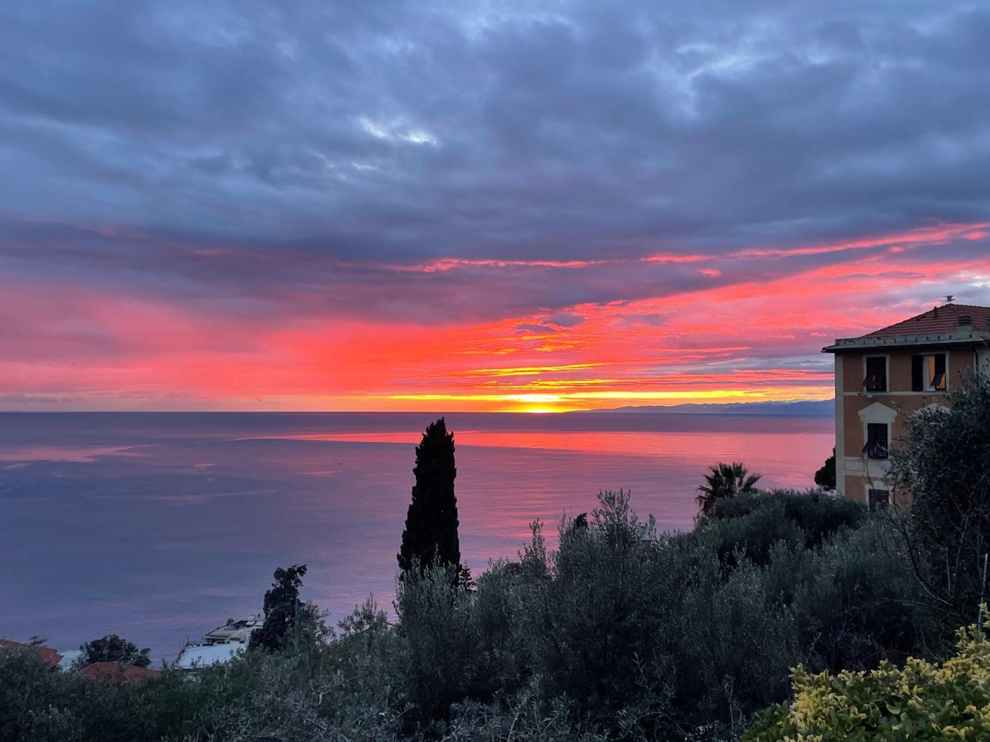 Villa Mortola Камольи Экстерьер фото